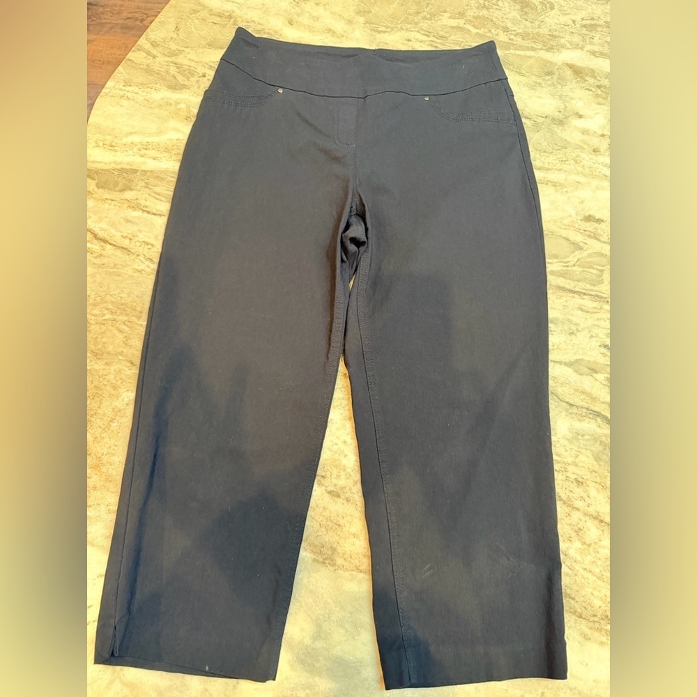 Westbound Black Stretch Pull-On Cropped Pants Women’s Size 8 Rayon Blend